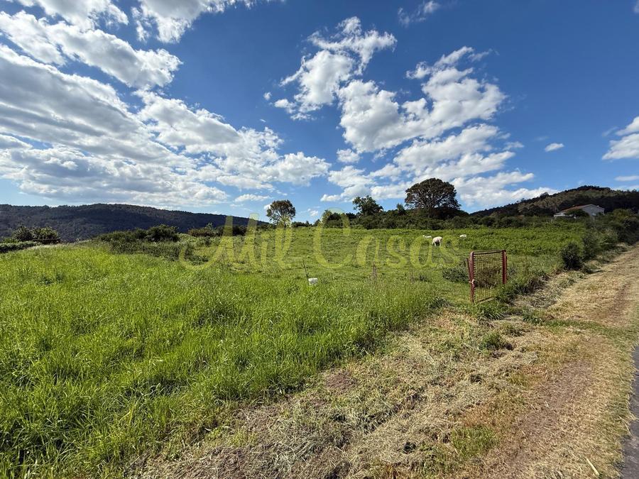 Img 20250507 wa0018
