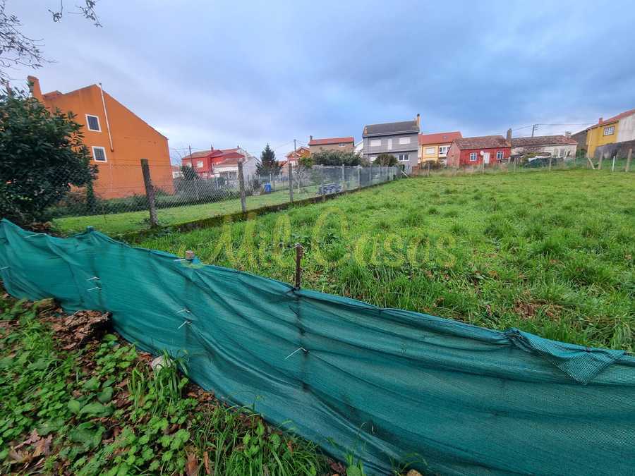 Whatsapp image 2025 12 23 at 16 55 30 1 