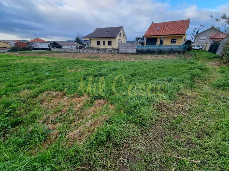 Whatsapp image 2025 12 23 at 16 44 04