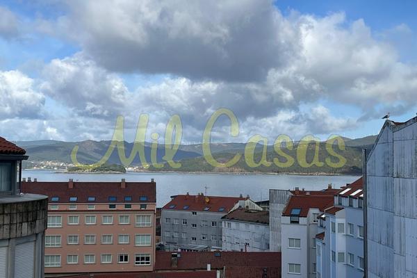 Whatsapp image 2026 02 14 at 13 21 19