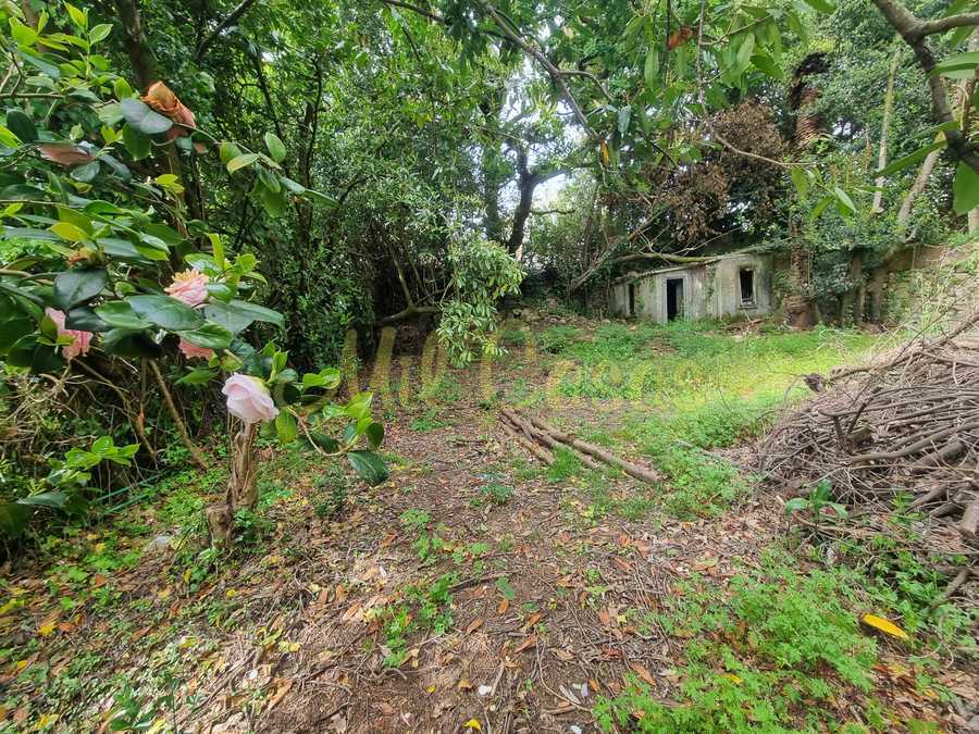 Whatsapp image 2026 04 21 at 16 55 51 1 