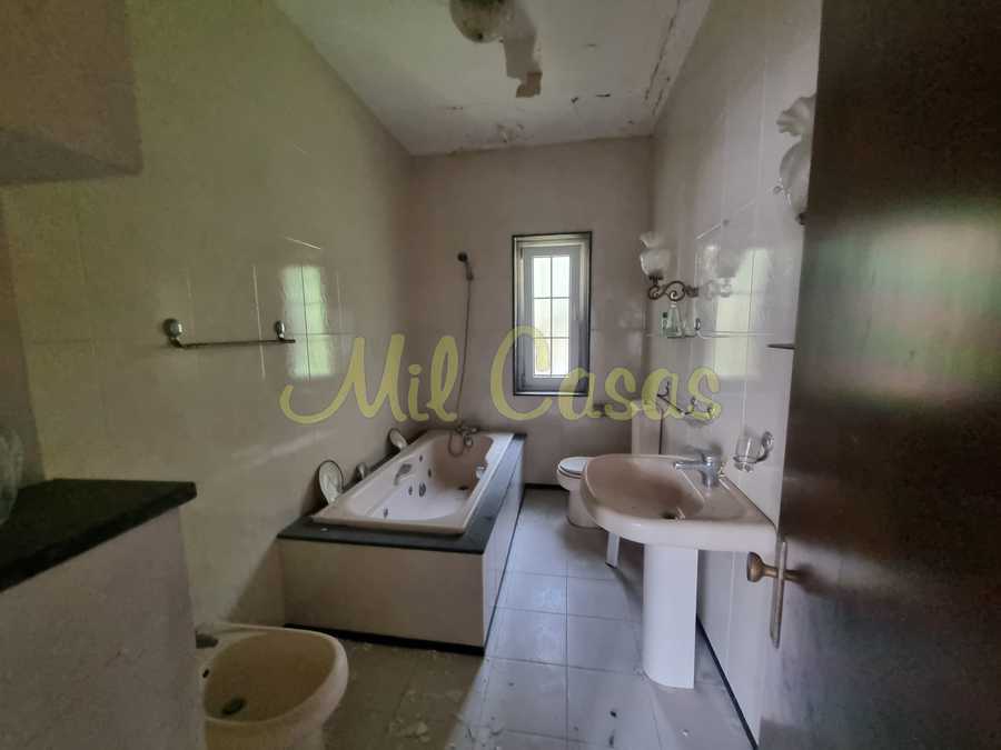 Whatsapp image 2026 04 21 at 16 49 56 1 