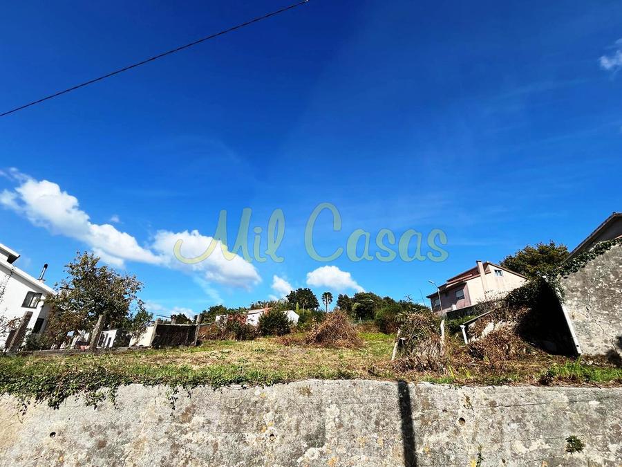 Finca y casa o loureiro 6 