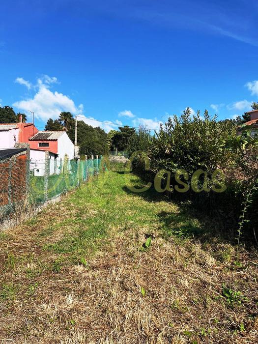 Finca y casa o loureiro 15 