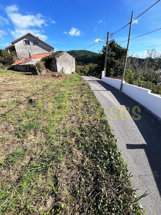 Finca y casa o loureiro 18 
